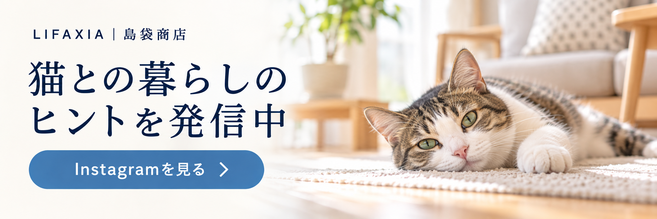 LIFAXIA 島袋商店 Instagramを見る(生活イメージ)