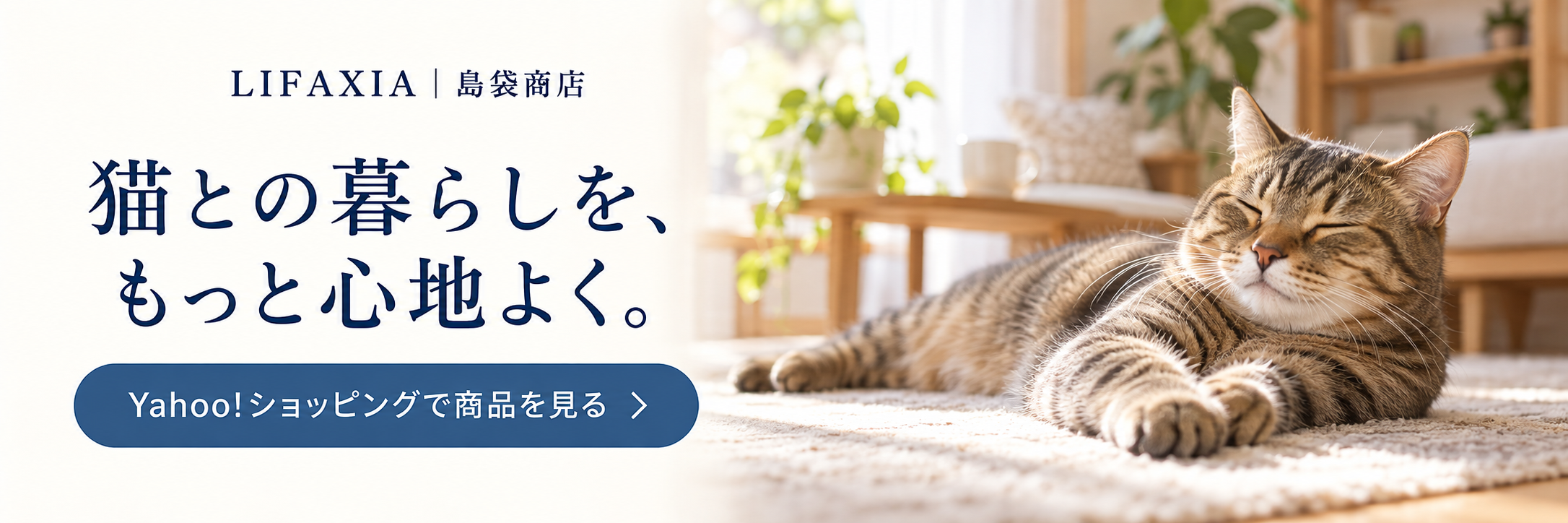 LIFAXIA 島袋商店 Yahoo!ショッピングで商品を見る(生活イメージ)