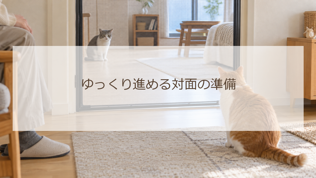 ゆっくり進める対面の準備(生活イメージ)